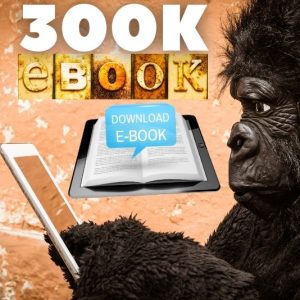 300k ebooks bundle at less price